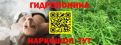 твердый Аша